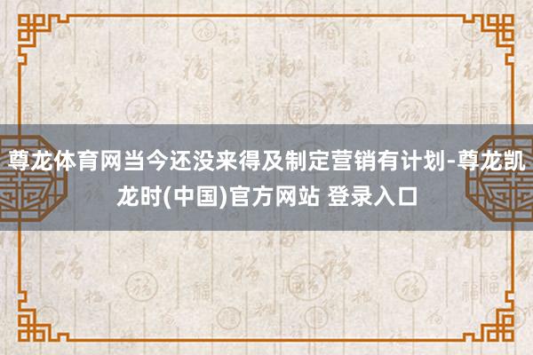 尊龙体育网当今还没来得及制定营销有计划-尊龙凯龙时(中国)官方网站 登录入口