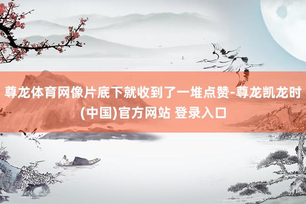尊龙体育网像片底下就收到了一堆点赞-尊龙凯龙时(中国)官方网站 登录入口