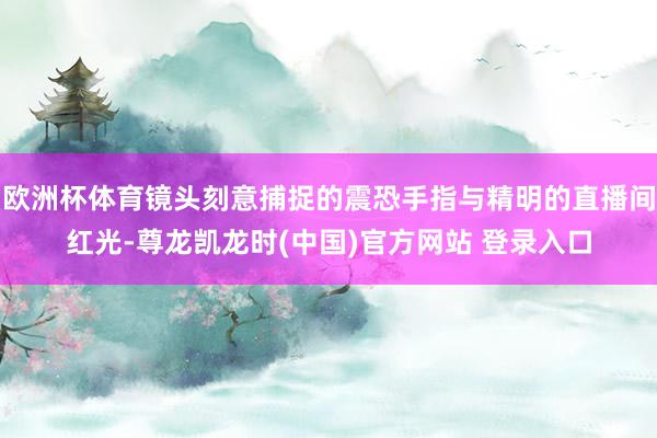 欧洲杯体育镜头刻意捕捉的震恐手指与精明的直播间红光-尊龙凯龙时(中国)官方网站 登录入口