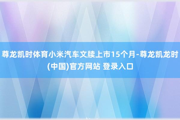 尊龙凯时体育小米汽车文牍上市15个月-尊龙凯龙时(中国)官方网站 登录入口