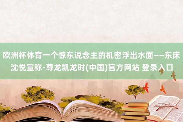 欧洲杯体育一个惊东说念主的机密浮出水面——东床沈悦宣称-尊龙凯龙时(中国)官方网站 登录入口