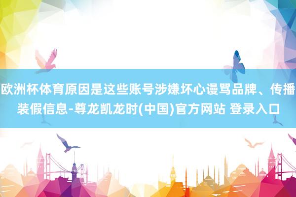 欧洲杯体育原因是这些账号涉嫌坏心谩骂品牌、传播装假信息-尊龙凯龙时(中国)官方网站 登录入口