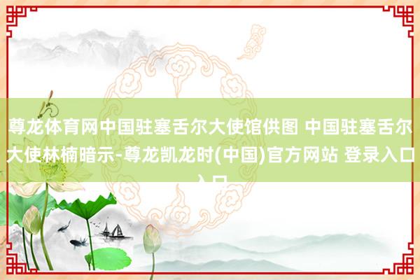 尊龙体育网中国驻塞舌尔大使馆供图 中国驻塞舌尔大使林楠暗示-尊龙凯龙时(中国)官方网站 登录入口