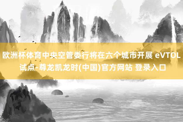 欧洲杯体育中央空管委行将在六个城市开展 eVTOL 试点-尊龙凯龙时(中国)官方网站 登录入口