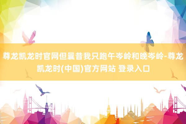尊龙凯龙时官网但曩昔我只跑午岑岭和晚岑岭-尊龙凯龙时(中国)官方网站 登录入口