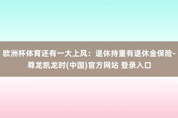 欧洲杯体育还有一大上风：退休持重有退休金保险-尊龙凯龙时(中国)官方网站 登录入口