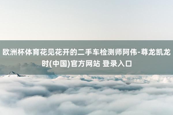 欧洲杯体育花见花开的二手车检测师阿伟-尊龙凯龙时(中国)官方网站 登录入口