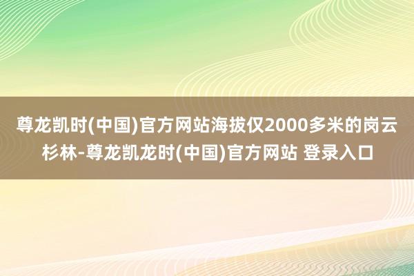 尊龙凯时(中国)官方网站海拔仅2000多米的岗云杉林-尊龙凯龙时(中国)官方网站 登录入口