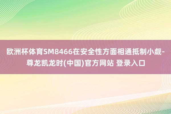 欧洲杯体育SM8466在安全性方面相通抵制小觑-尊龙凯龙时(中国)官方网站 登录入口