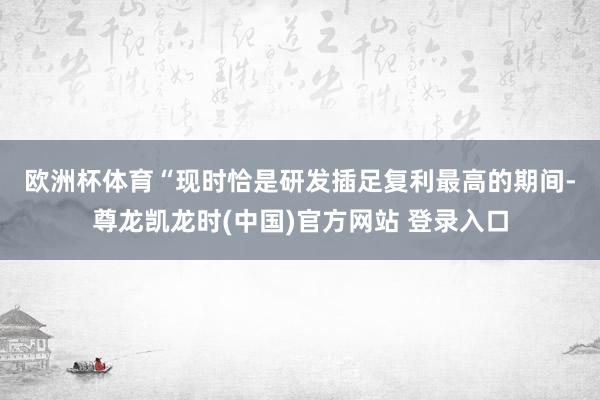 欧洲杯体育　　“现时恰是研发插足复利最高的期间-尊龙凯龙时(中国)官方网站 登录入口